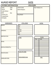 Load image into Gallery viewer, Free Nurse Report Template
