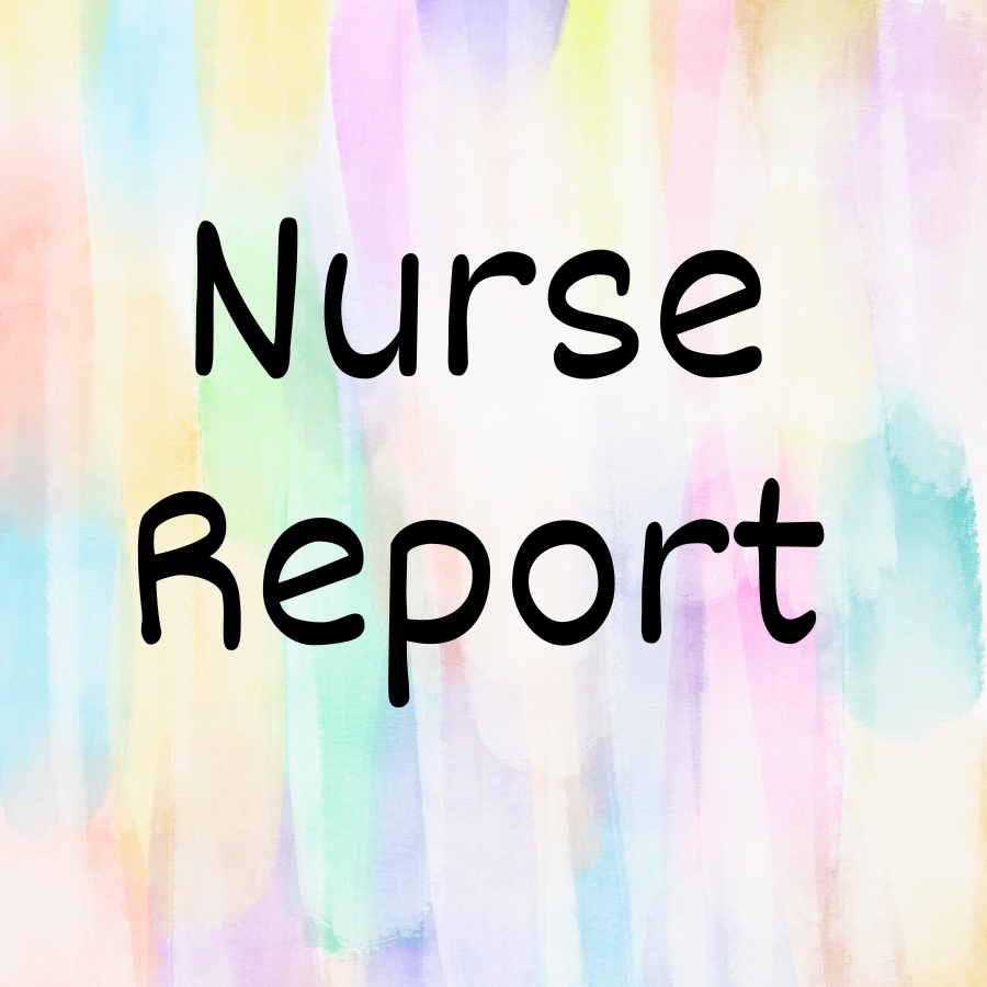 Free Nurse Report Template