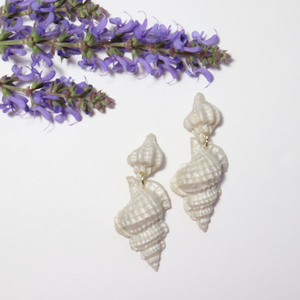 Marina Seashells