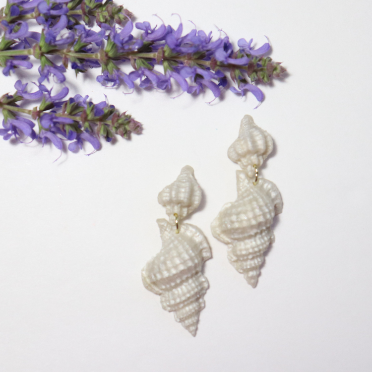 Marina Seashells